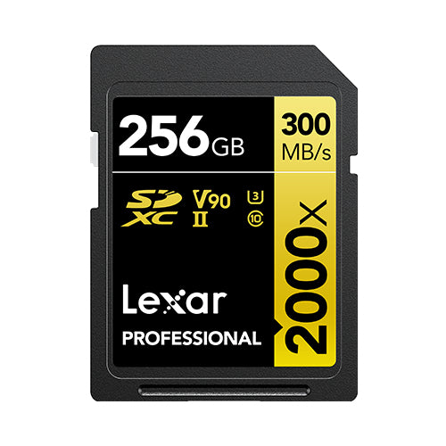 LXR FLS SD-256GB-LSD2000256G-BNNNG