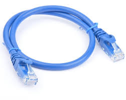 8WR CAB NW-CAT6A-0.50M-BLUE