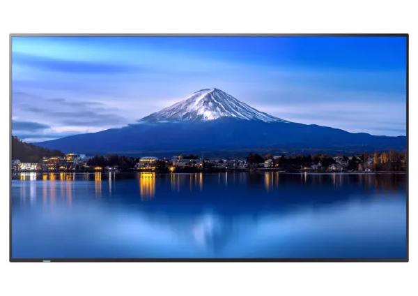 Sharp P-series P656 65&quot; Professional Display, 4K UHD, 700-cd/m2 Brightness, IPS, 25% Haze Non-Glare, 400x400 VESA, 24/7 3Yr Warranty